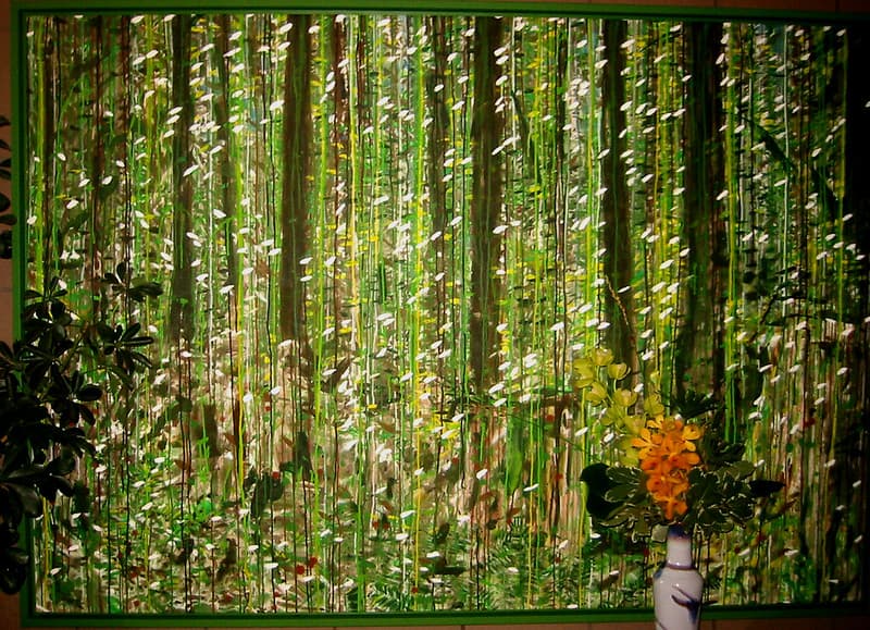 Forest Scene