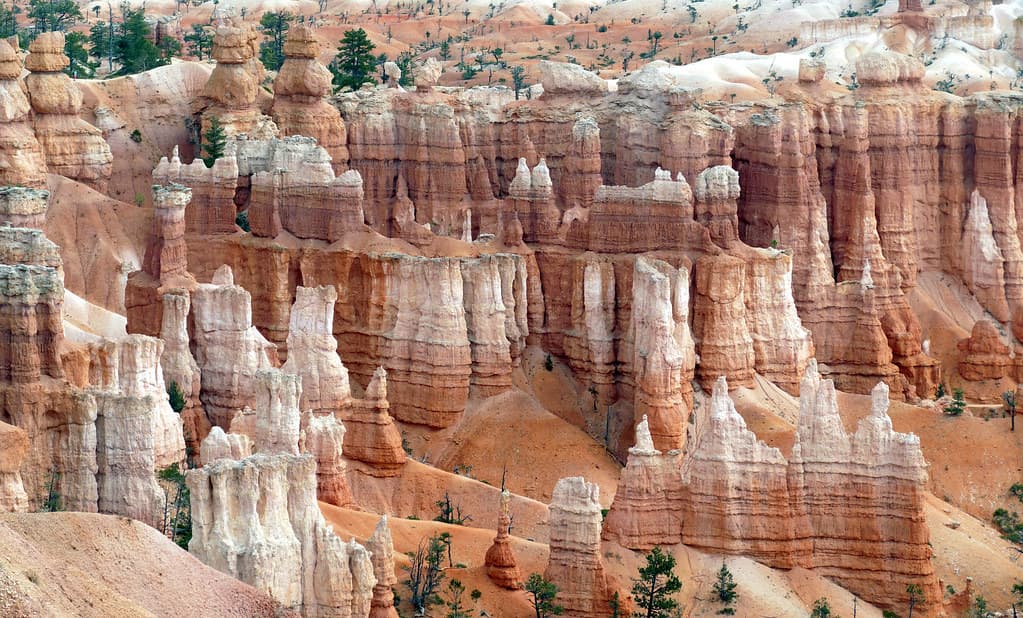 Hoodoos Of Bryce Canyon