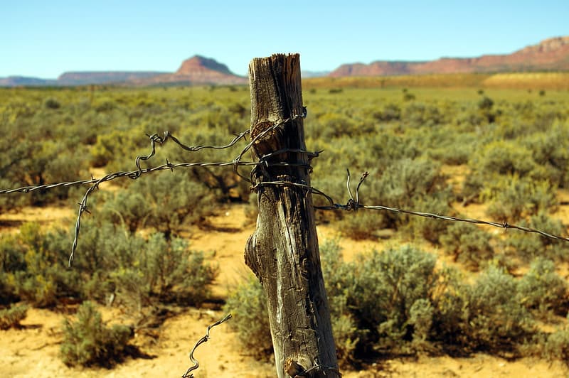 Barbed, demarcation, desert