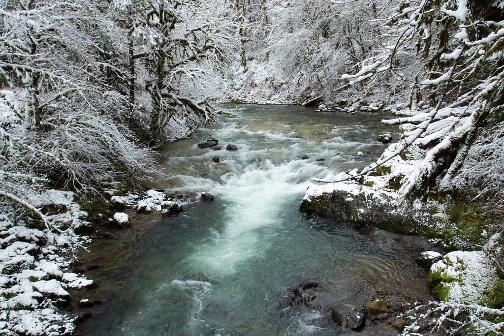 Fernview Recreation area in snow, Oregon