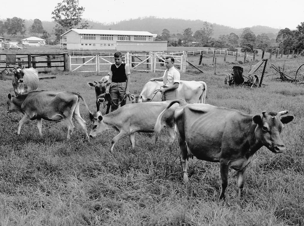 State High School, Agricultural Science - Queensland