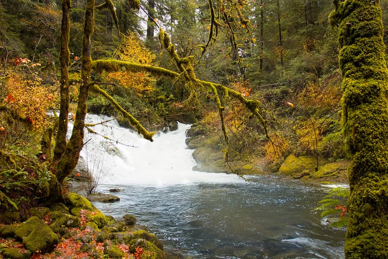 Beaver Creek Falls Waterfalls, Oregon