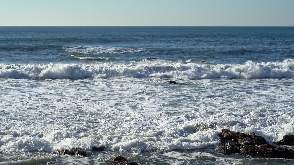 Ocean