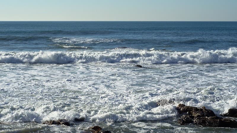 Ocean