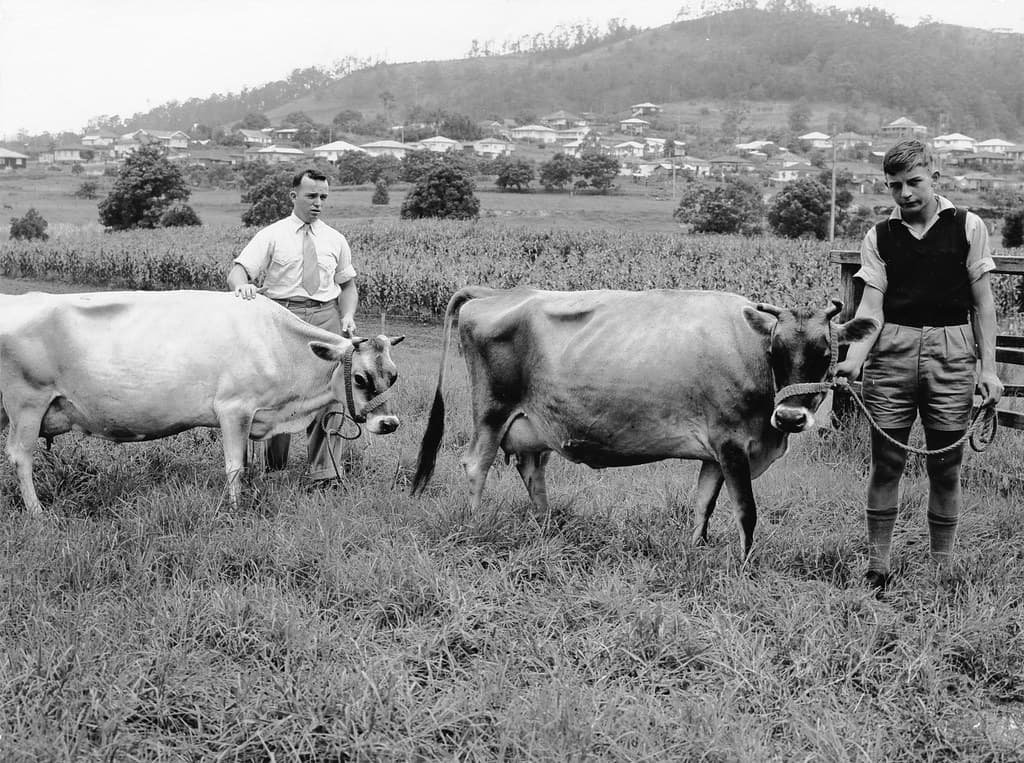 State High School, Agricultural Science - Queensland
