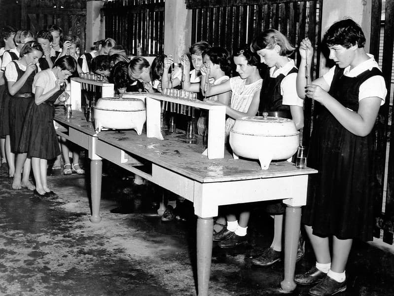 State High School, Domestic Science, Zoology - Brisbane