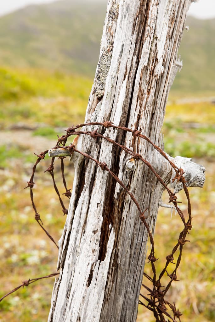 Post and barbed wire