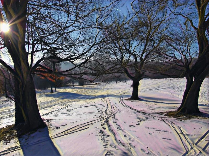 Snow traces color