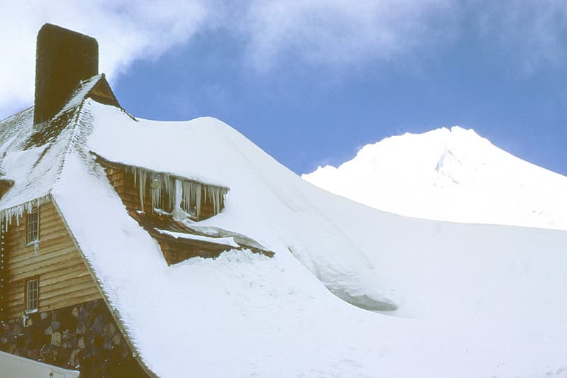 Snow Survey19