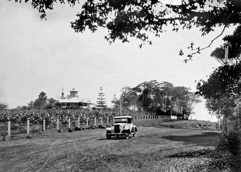 Fruit Groves, Buderim House, 1931