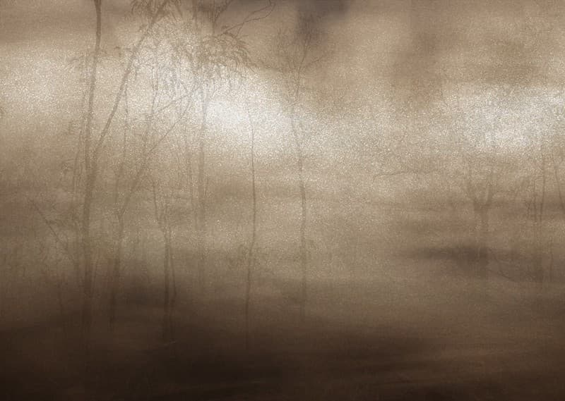 Free Texture By Tóta.