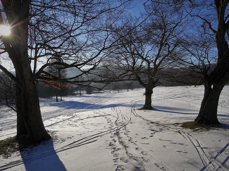 Snow traces orig.