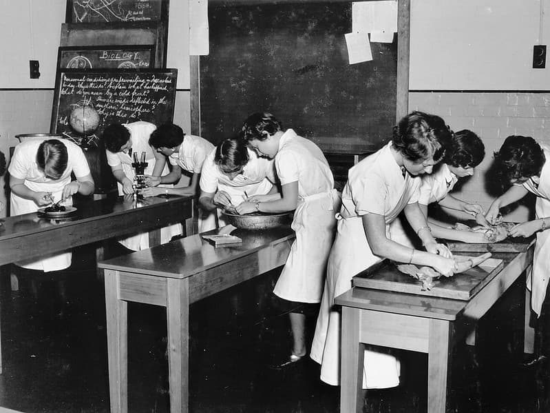 State High School, Domestic Science, Zoology - Brisbane