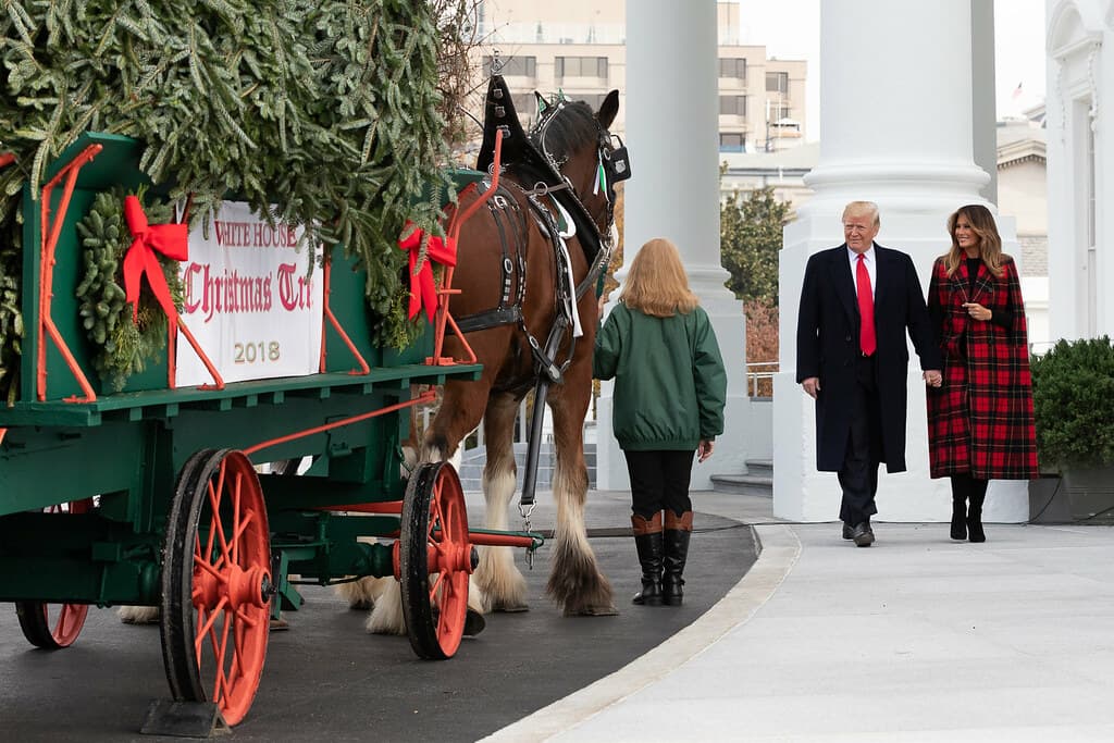 The White House Christmas Tree Arrival