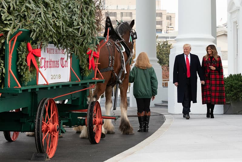 The White House Christmas Tree Arrival