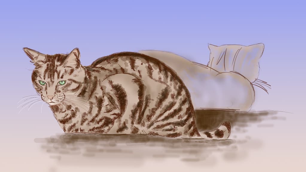 Twoo cats in a shelter