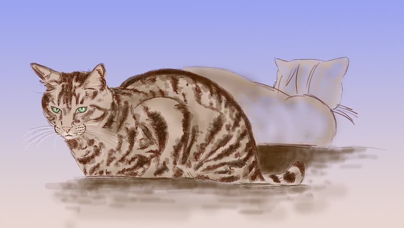 Twoo cats in a shelter