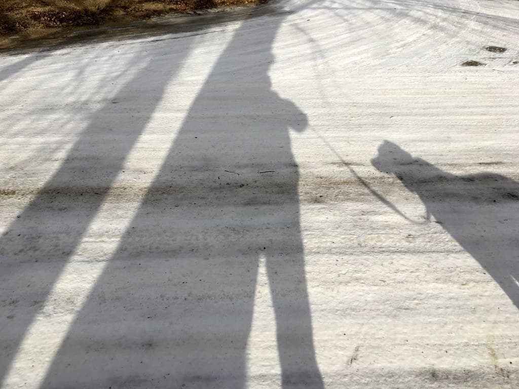 Emerging Shadow Man and His Dog
