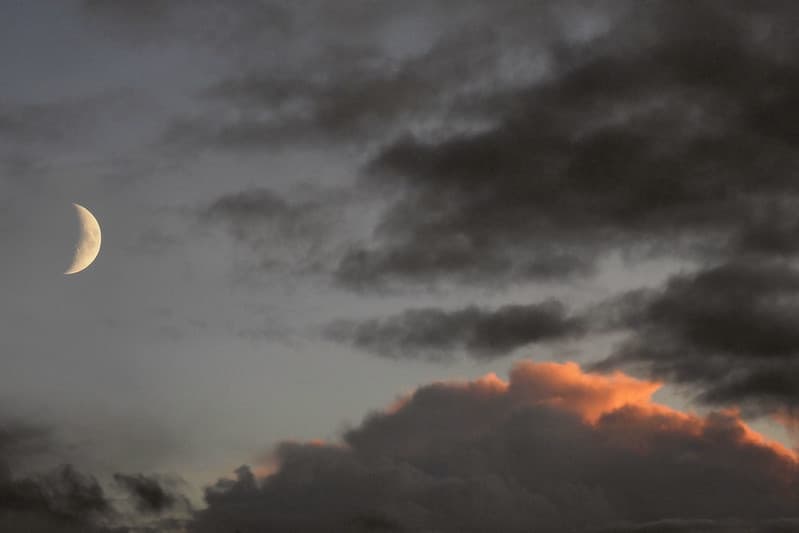 From my window