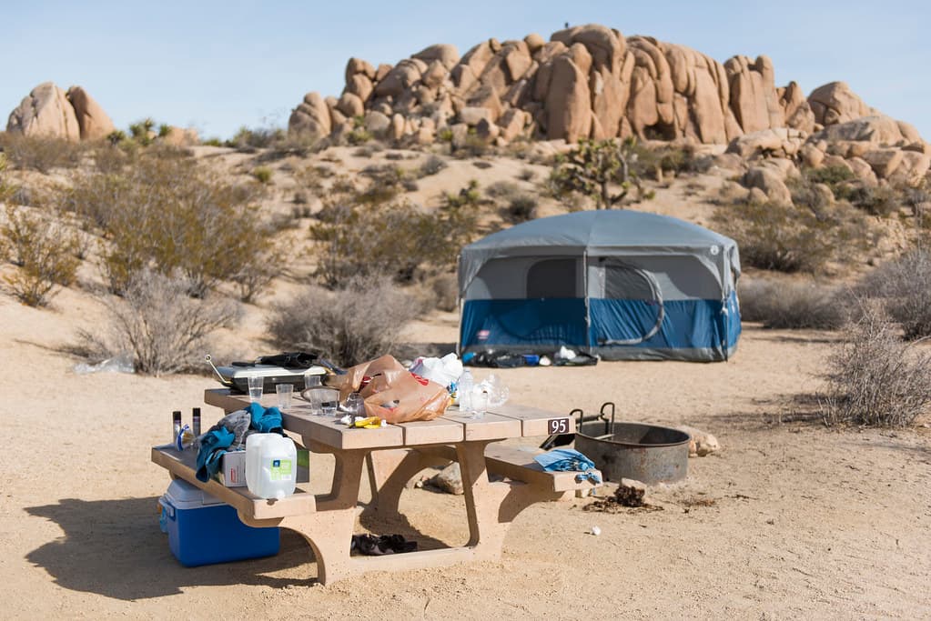 Unattended food left in a campsite