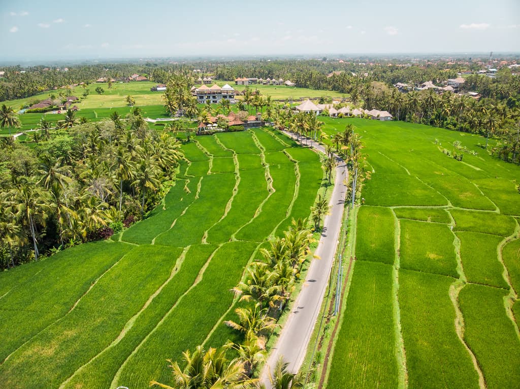 Aerial, agriculture, asia