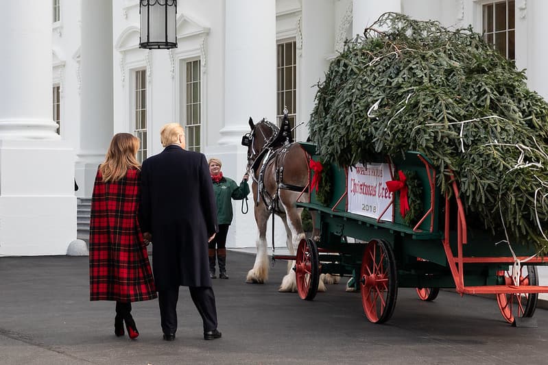 The White House Christmas Tree Arrival