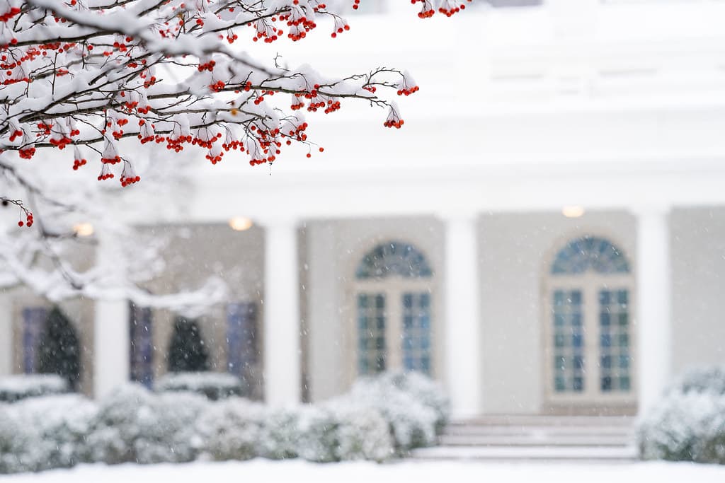 The White House Grounds Covered in Snow on January 13, 2019
