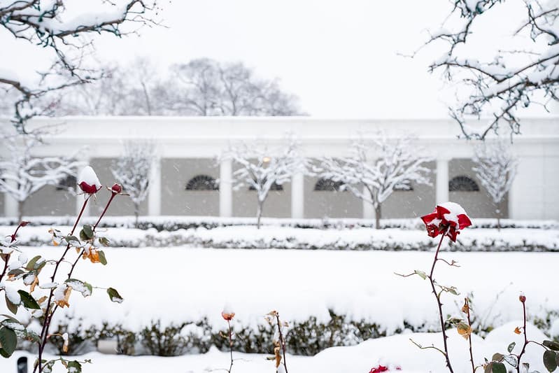 The White House Grounds Covered in Snow on January 13, 2019