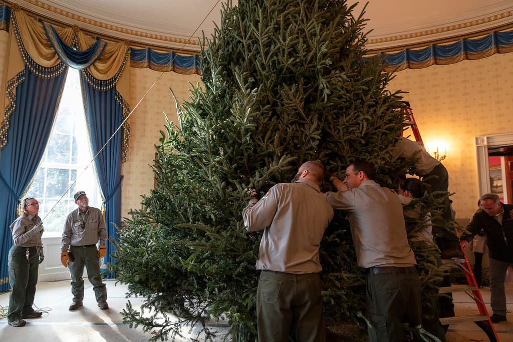 Delivery of the White House Christmas Tree