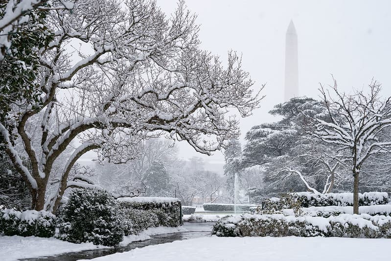 The White House Grounds Covered in Snow on January 13, 2019