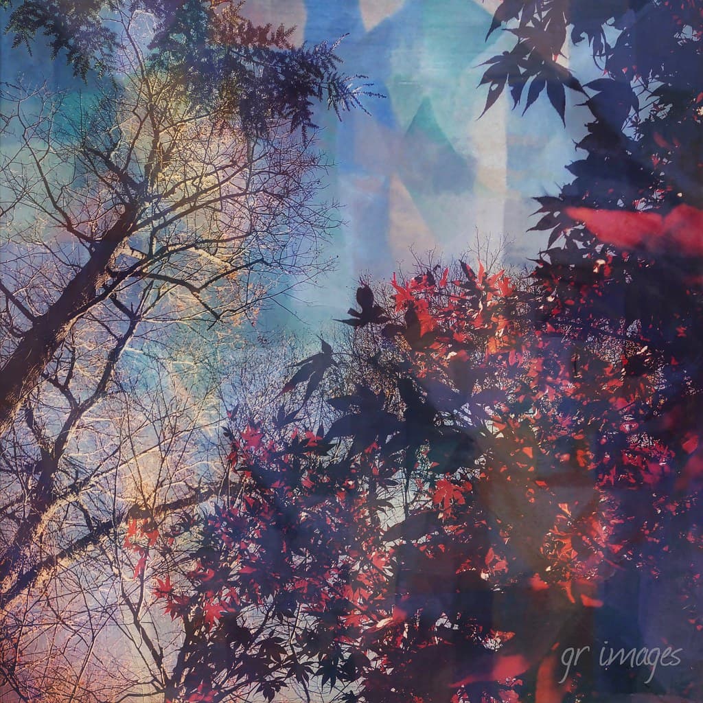 Fall abstract
