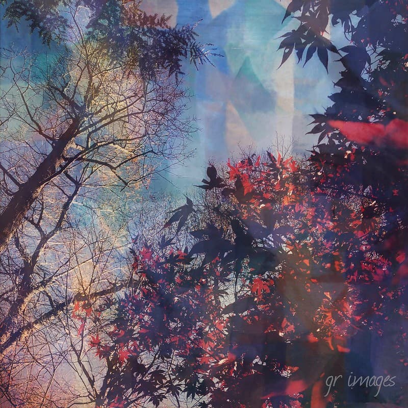 Fall abstract