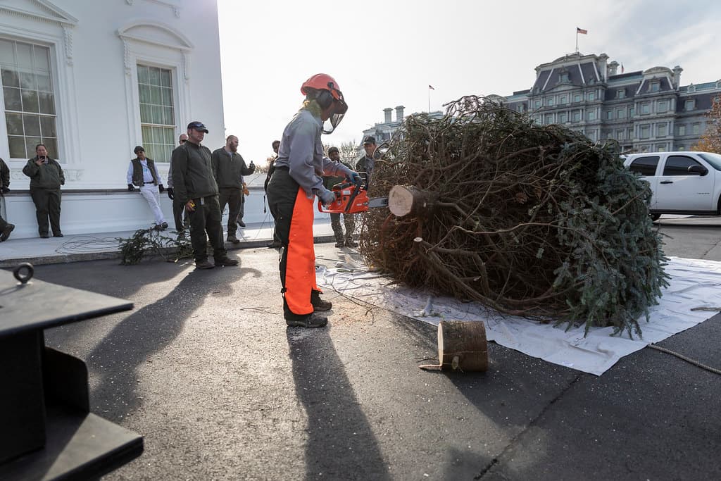 Delivery of the White House Christmas Tree