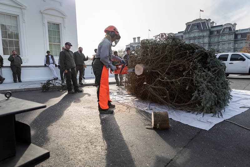 Delivery of the White House Christmas Tree