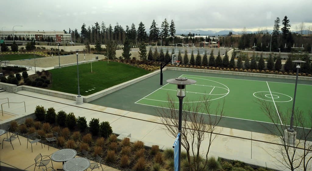 Basketballcourt, grounds, lunchcommonswindow