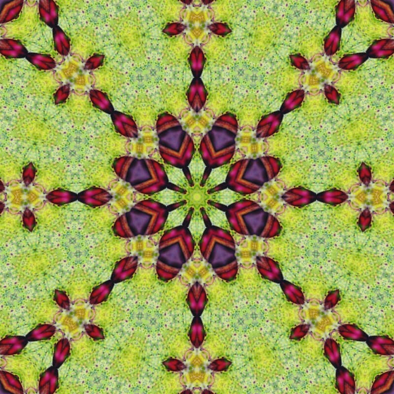 Pattern