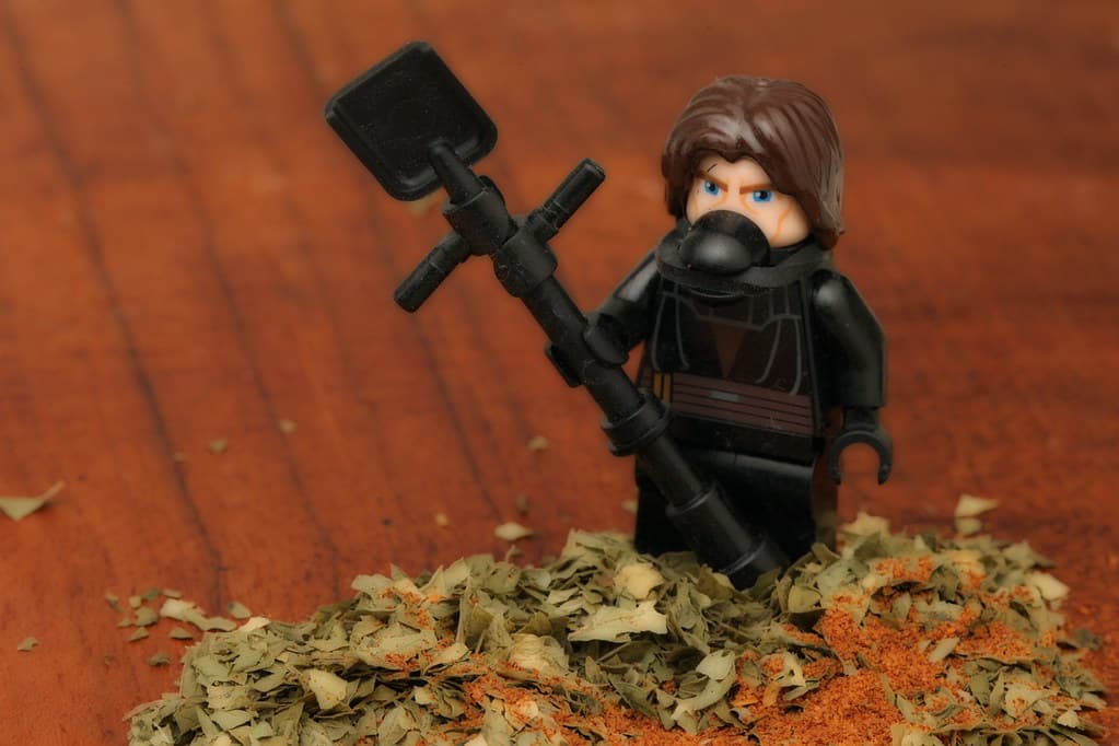 [101/365] The Spice must flow