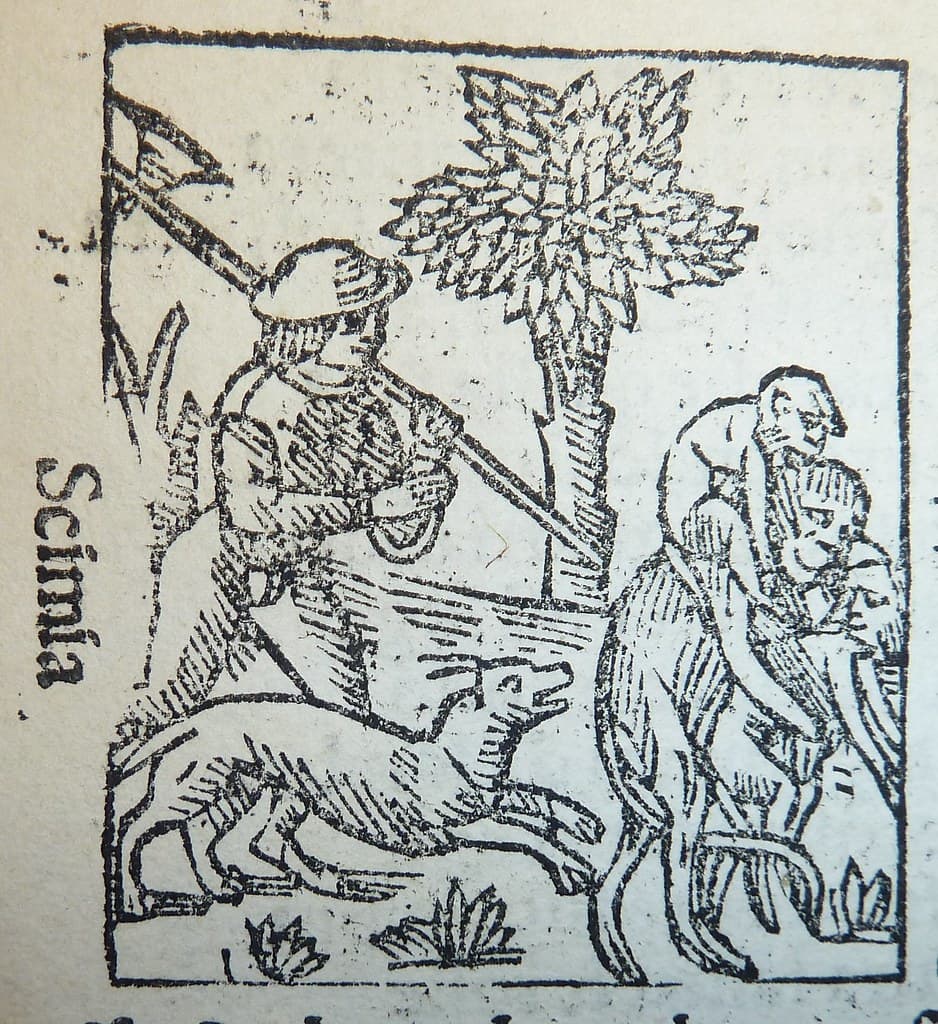 Woodcut of monkeys and a dog