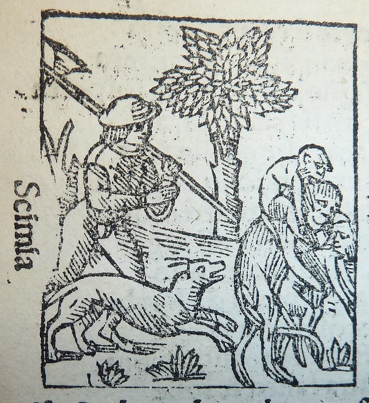 Woodcut of monkeys and a dog