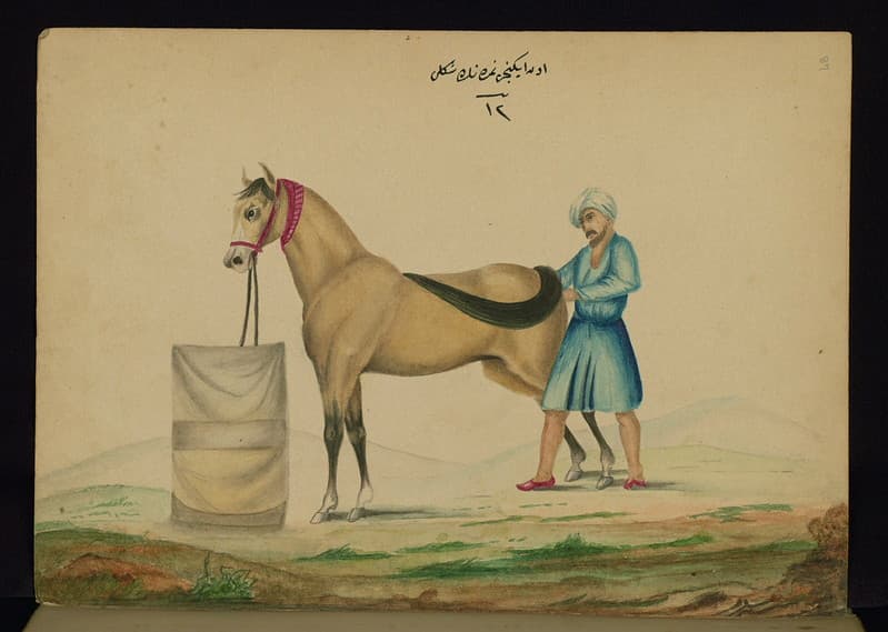 Book, codex, illustration