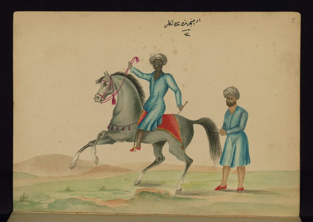 Book, codex, illustration
