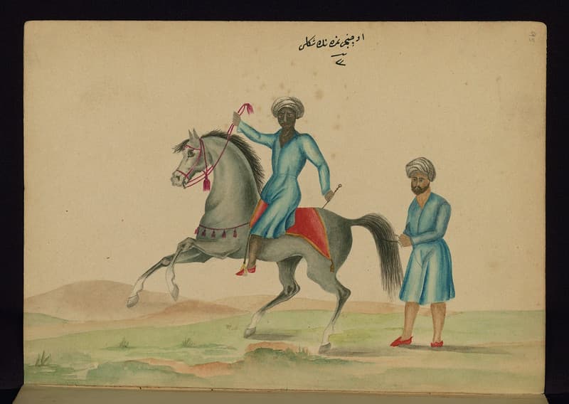 Book, codex, illustration