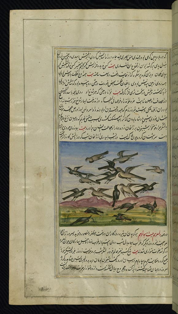 Book, illustration, iran