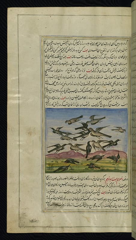Book, illustration, iran
