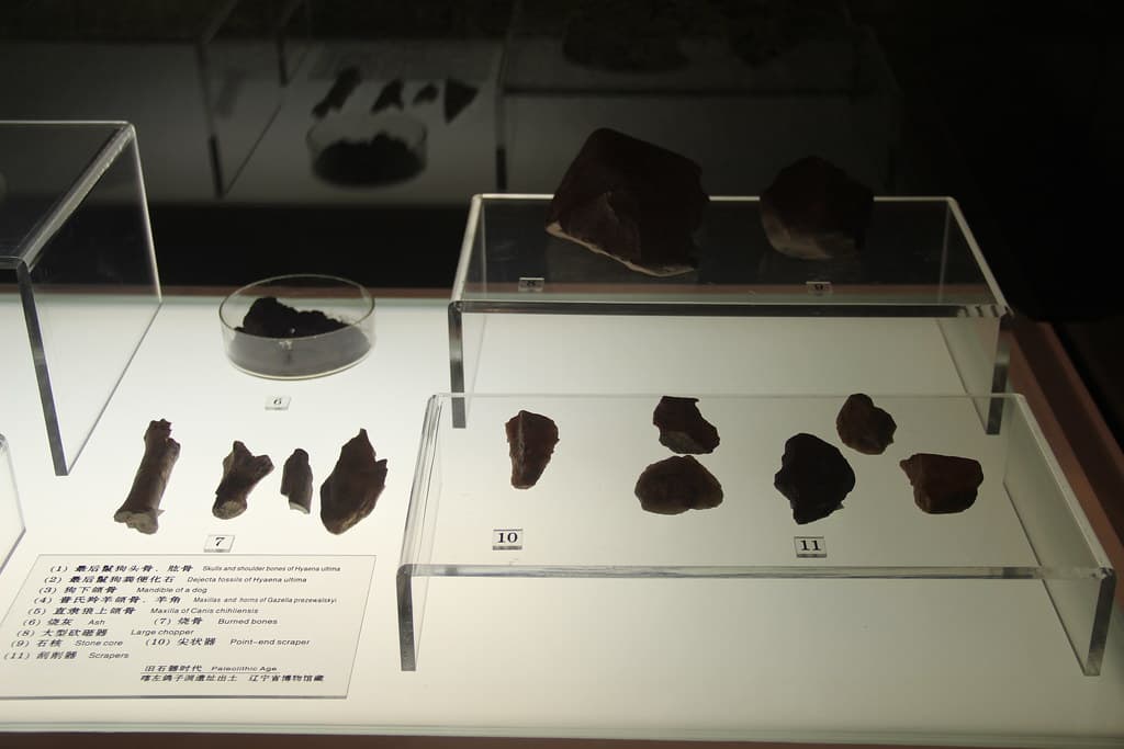 Paleolithic Tools