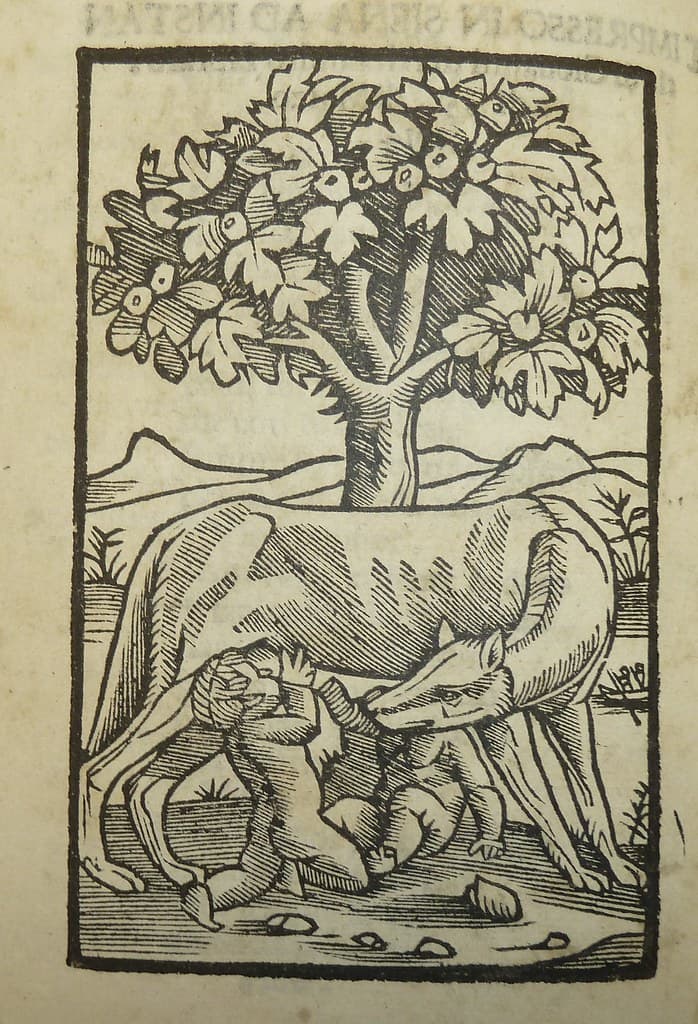 Woodcut device of printer Simeone di Niccoló Nardi