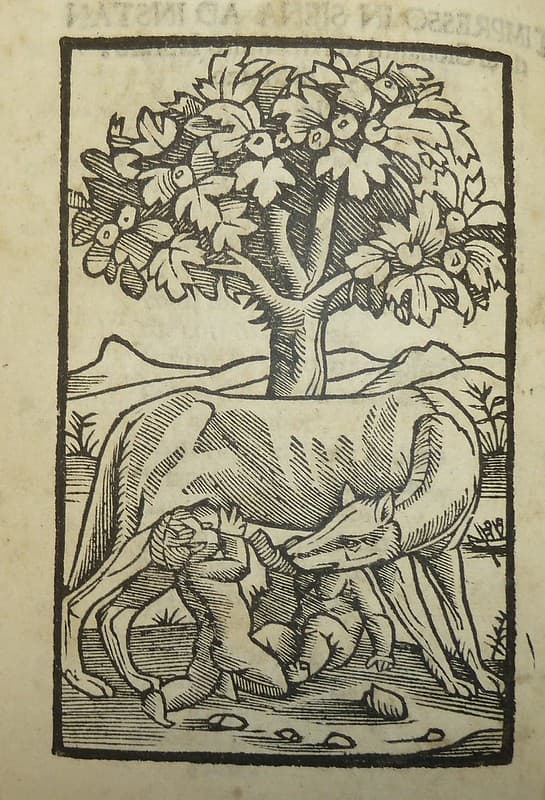 Woodcut device of printer Simeone di Niccoló Nardi