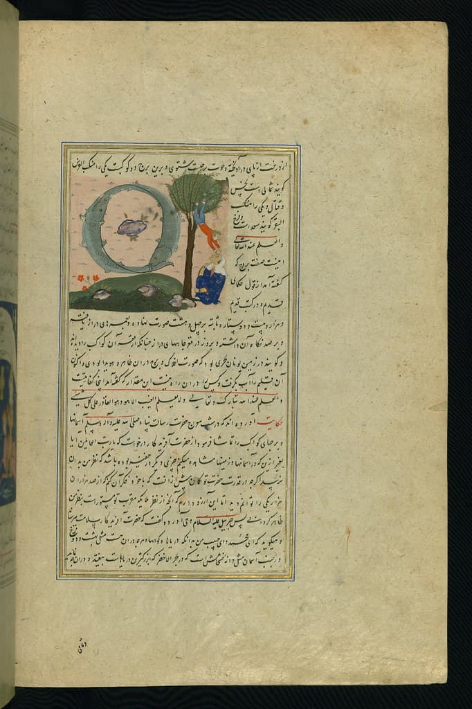 Codex, cosmology, illumination