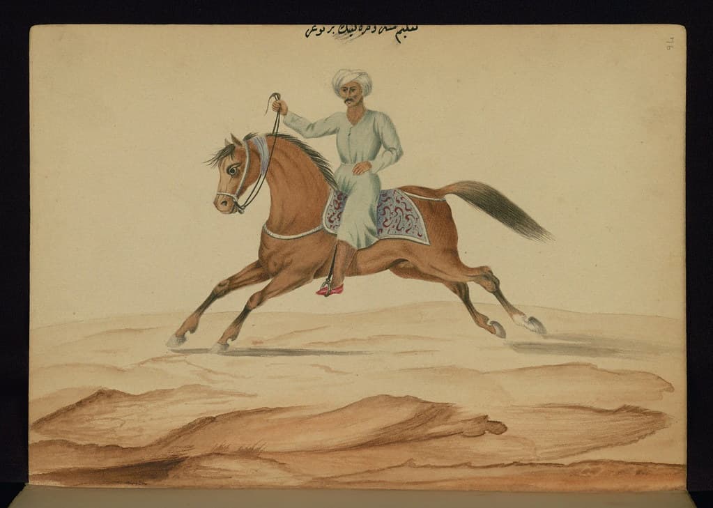 Book on horses, Horse training, Walters Art Museum Ms. W.661, fol. 76a