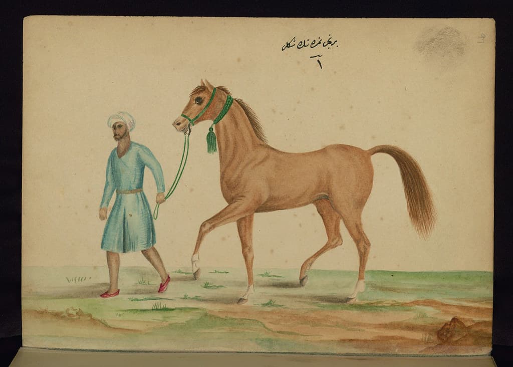 Book, codex, illustration